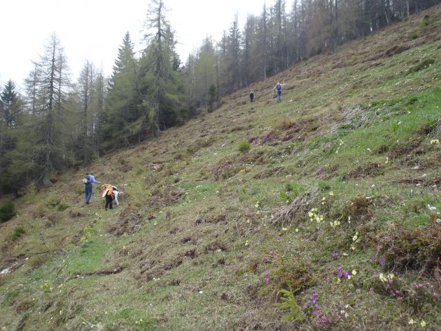 20110502 Kriška gora in dobrča - foto