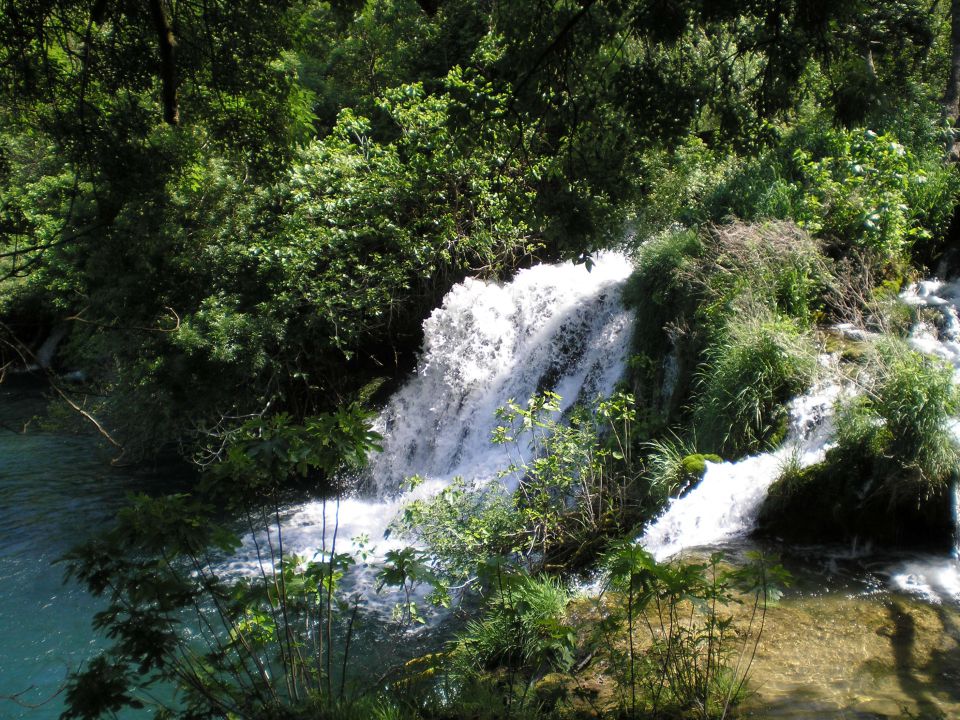 20110430 Paklenica - foto povečava