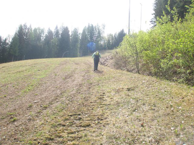 20110501 Žabnica - Višarje - foto