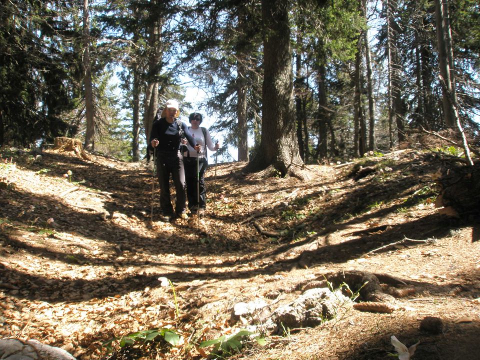 20110512 Vitranc Cipirnik Planica - foto povečava