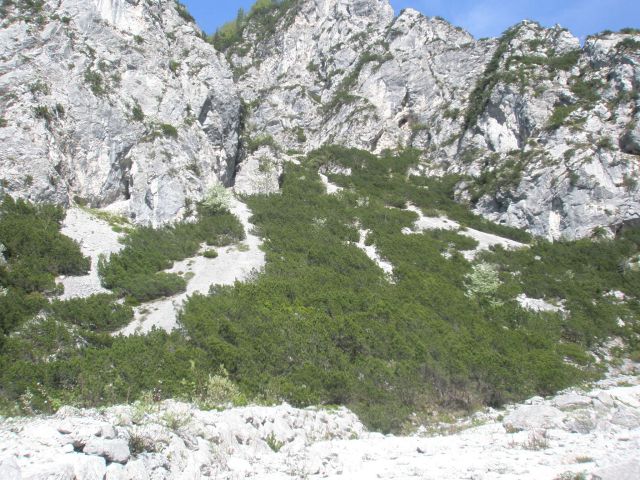 20110512 Vitranc Cipirnik Planica - foto