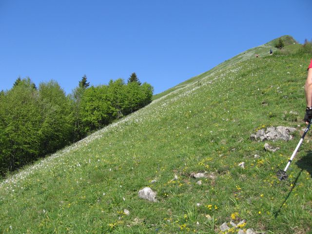 20110521 Golica čez pl. markl, peričnik - foto