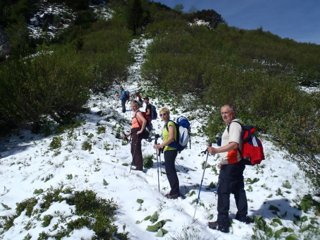 20110529 Begunjščica-z okolico - foto