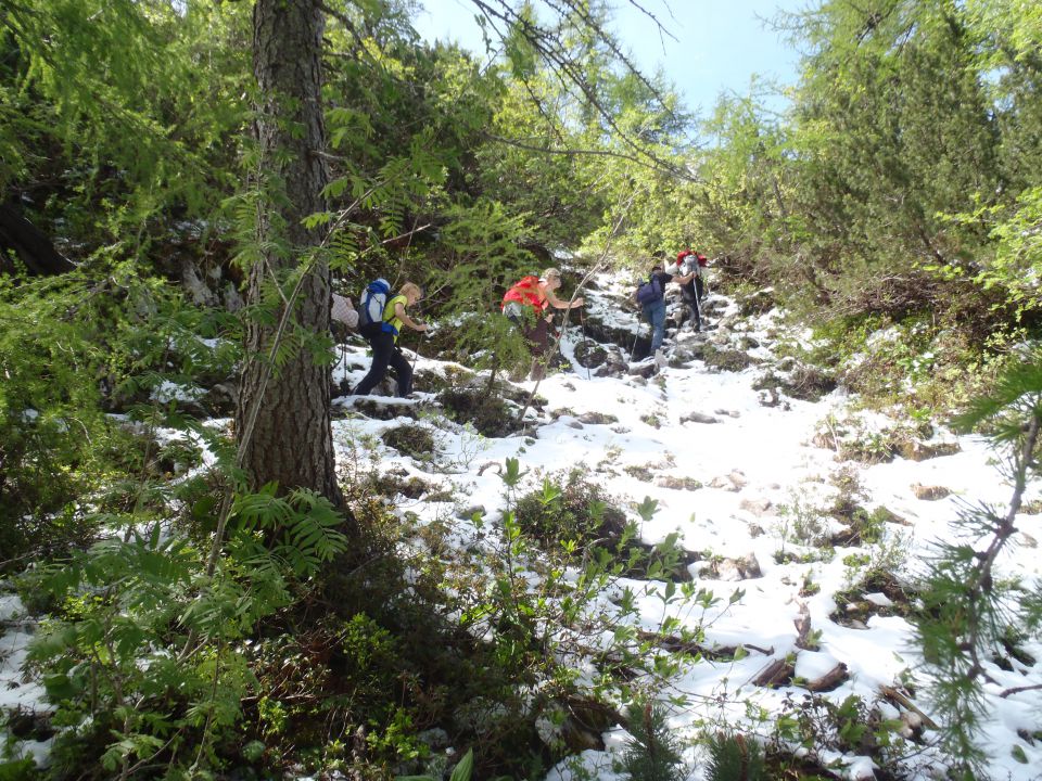 20110529 Begunjščica-z okolico - foto povečava