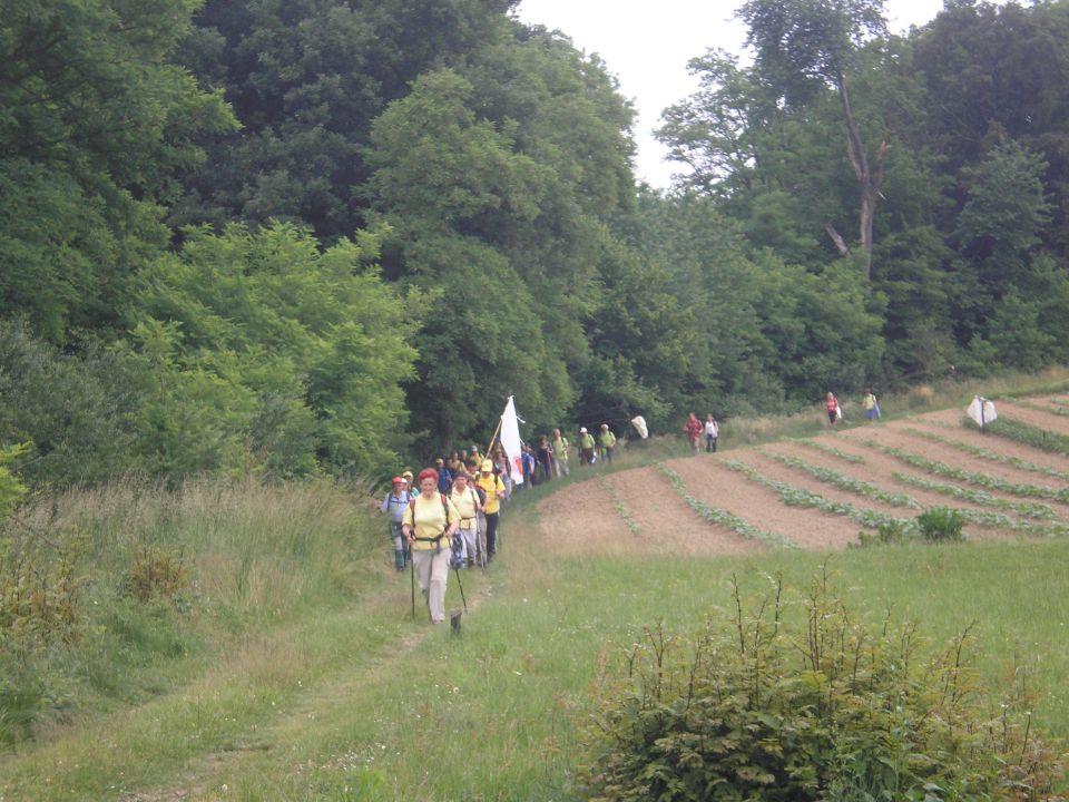 20110603 Evropohod - foto povečava