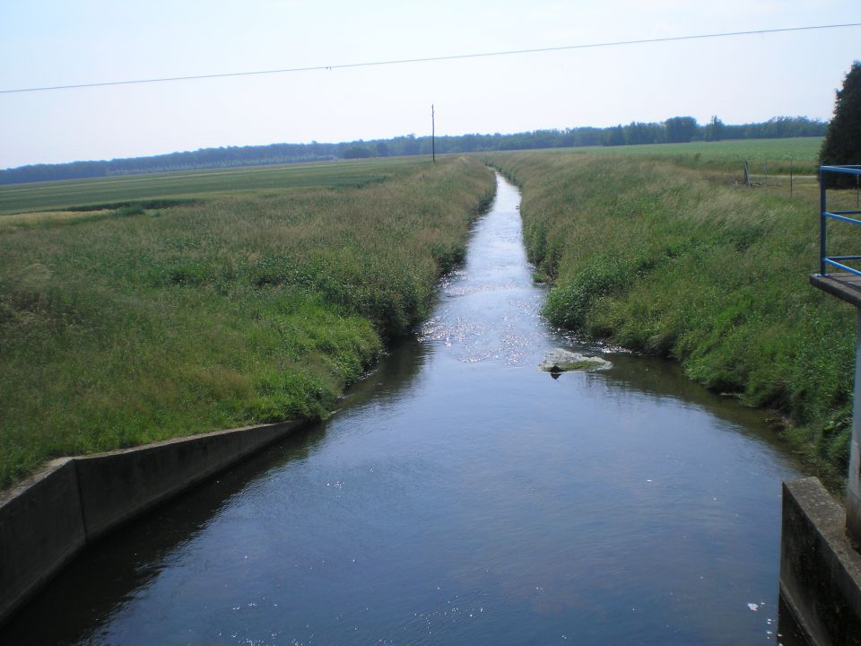 20110603 Evropohod - foto povečava