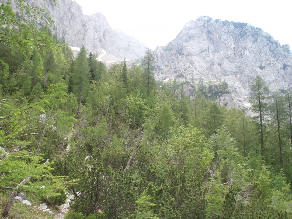 20110612 Klemenča,Škarje,Ojstrica,Korošica - foto povečava