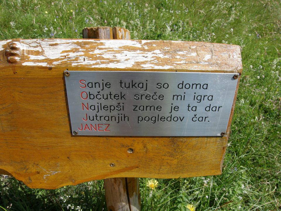 20110702 Dobrča - Šentanski vrh - foto povečava