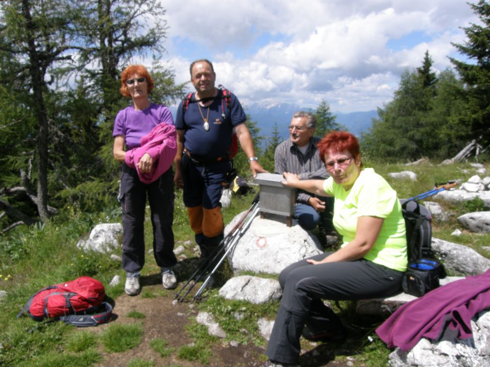 20110702 Dobrča - Šentanski vrh - foto povečava