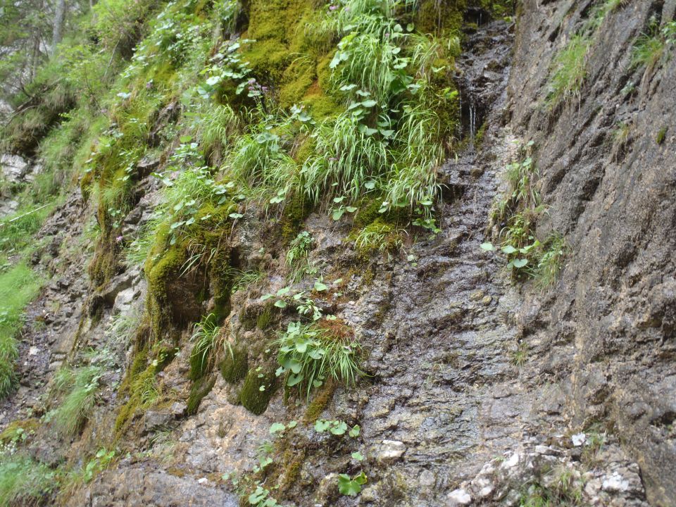 20110703 Mojstrovka,martulj.slap bivak 3 - foto povečava