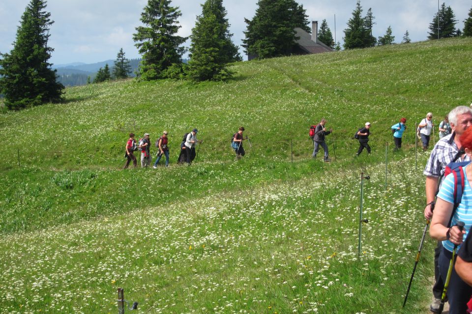 Donava - izvir - foto povečava