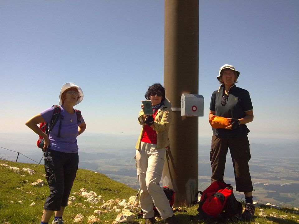 20110709 Krvavec Zvoh Vrh korena Dolge - foto povečava