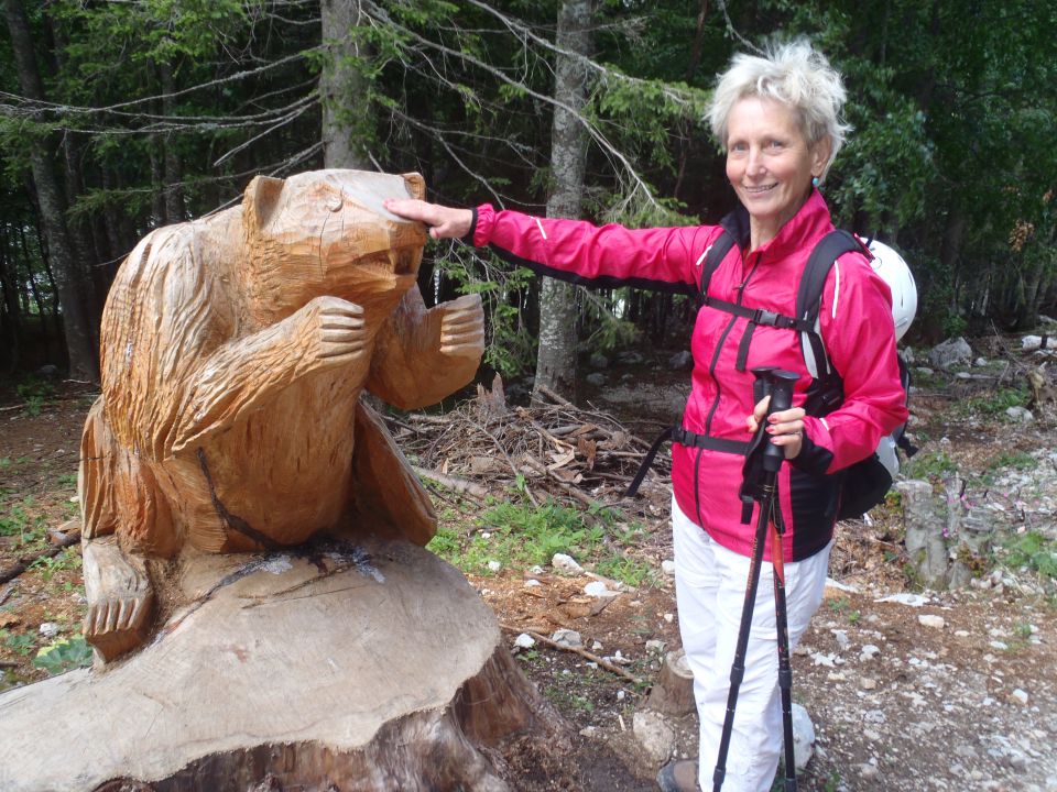 20110717 Zelenica,Celovška,Stol,Završnica - foto povečava