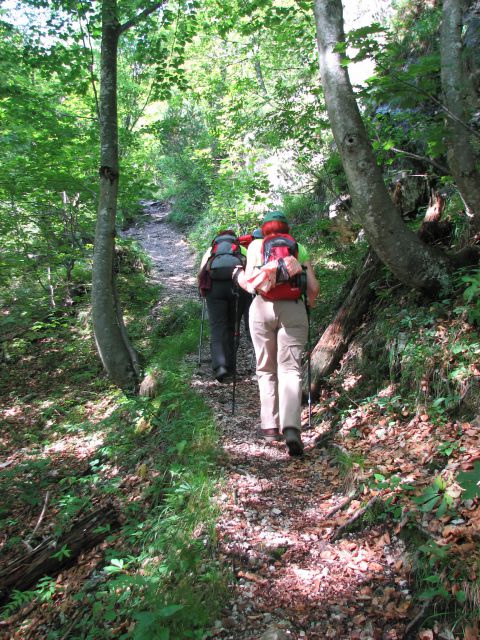 20110805 Matkov kot-Škaf-Logarska - foto