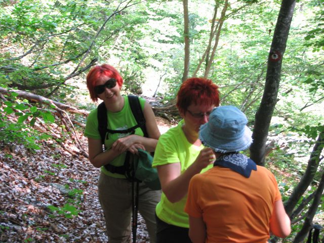 20110805 Matkov kot-Škaf-Logarska - foto