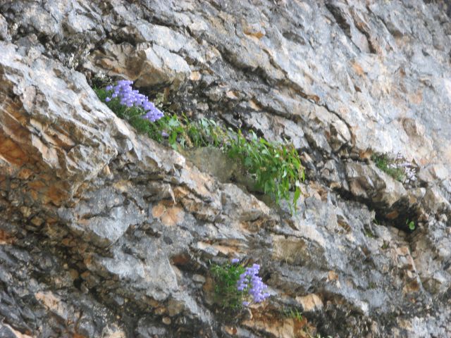 20110805 Matkov kot-Škaf-Logarska - foto