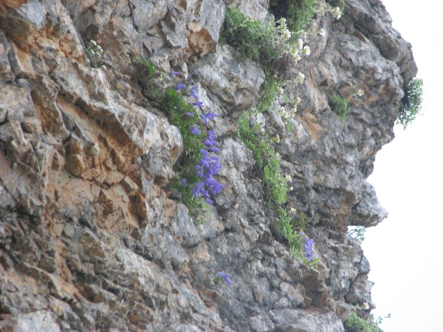 20110805 Matkov kot-Škaf-Logarska - foto