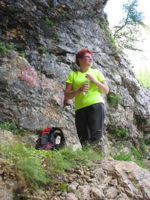 20110805 Matkov kot-Škaf-Logarska - foto