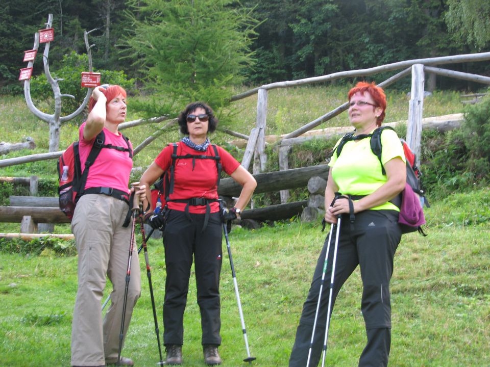 20110806 Krofička Strelovec - foto povečava