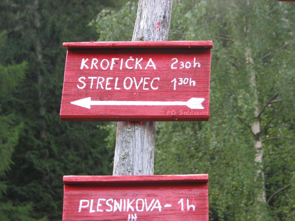 20110806 Krofička Strelovec - foto povečava