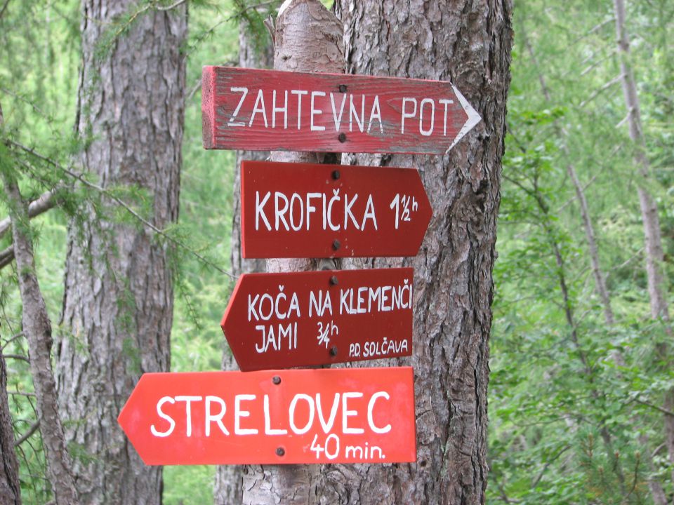 20110806 Krofička Strelovec - foto povečava