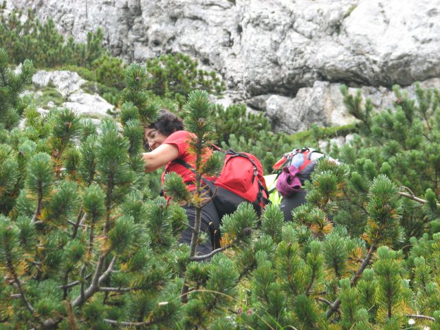 20110806 Krofička Strelovec - foto