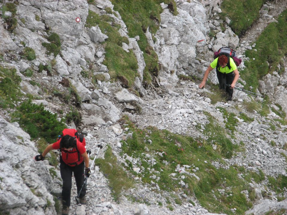 20110806 Krofička Strelovec - foto povečava