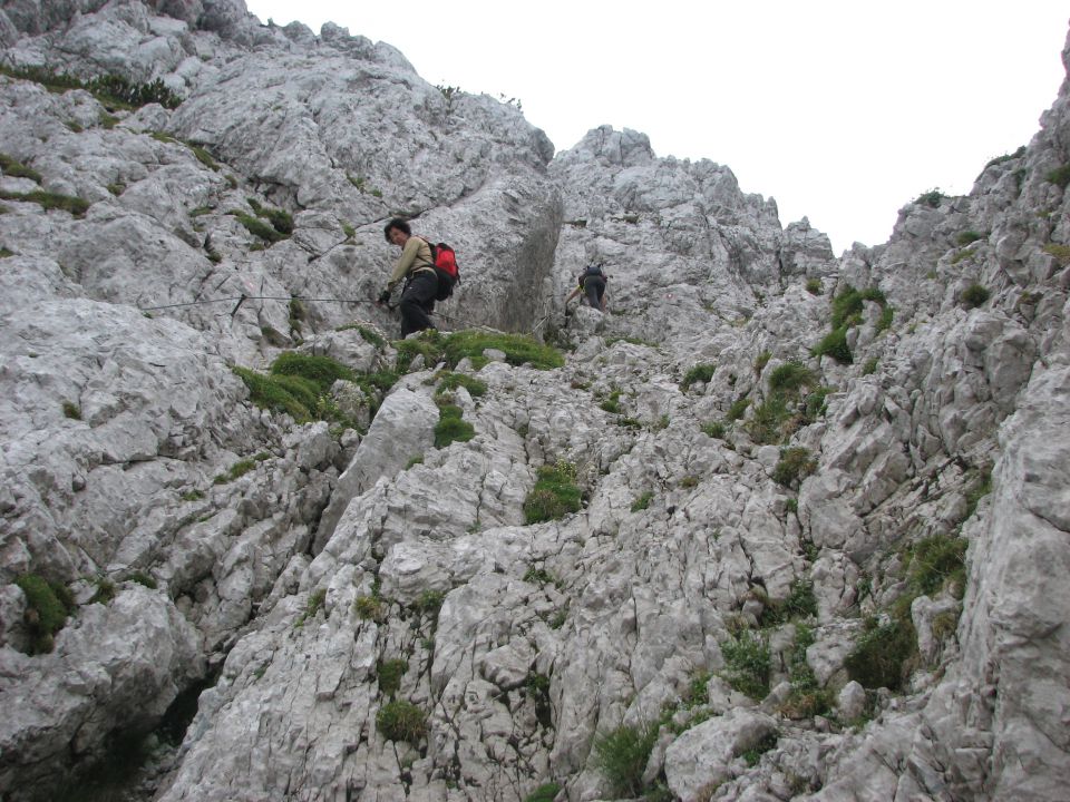 20110806 Krofička Strelovec - foto povečava