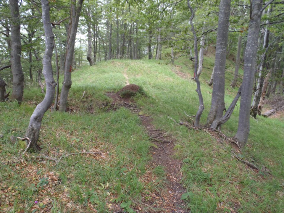 20110807 Mače-Kališče-Javorov-Iskra-Preddvor - foto povečava