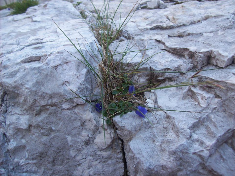 20110813 Triglav-sever-slo smer - foto povečava