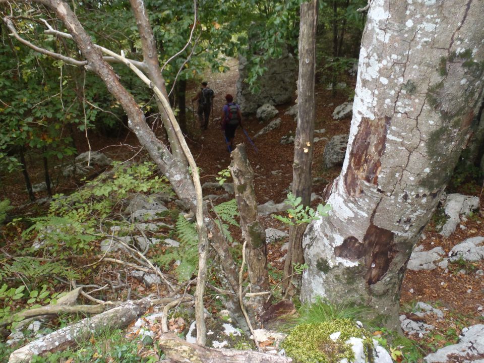 20110904 Rombon Kanin.žič.-Bovec - foto povečava