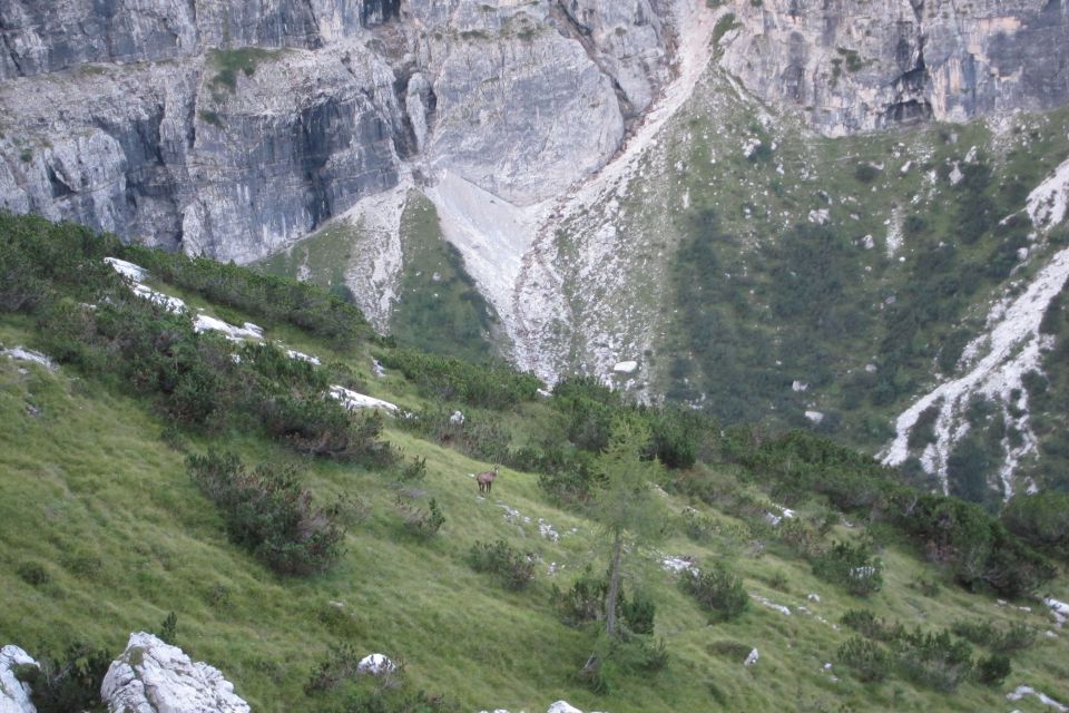 20110826 Dolomiti Cima brenta - foto povečava