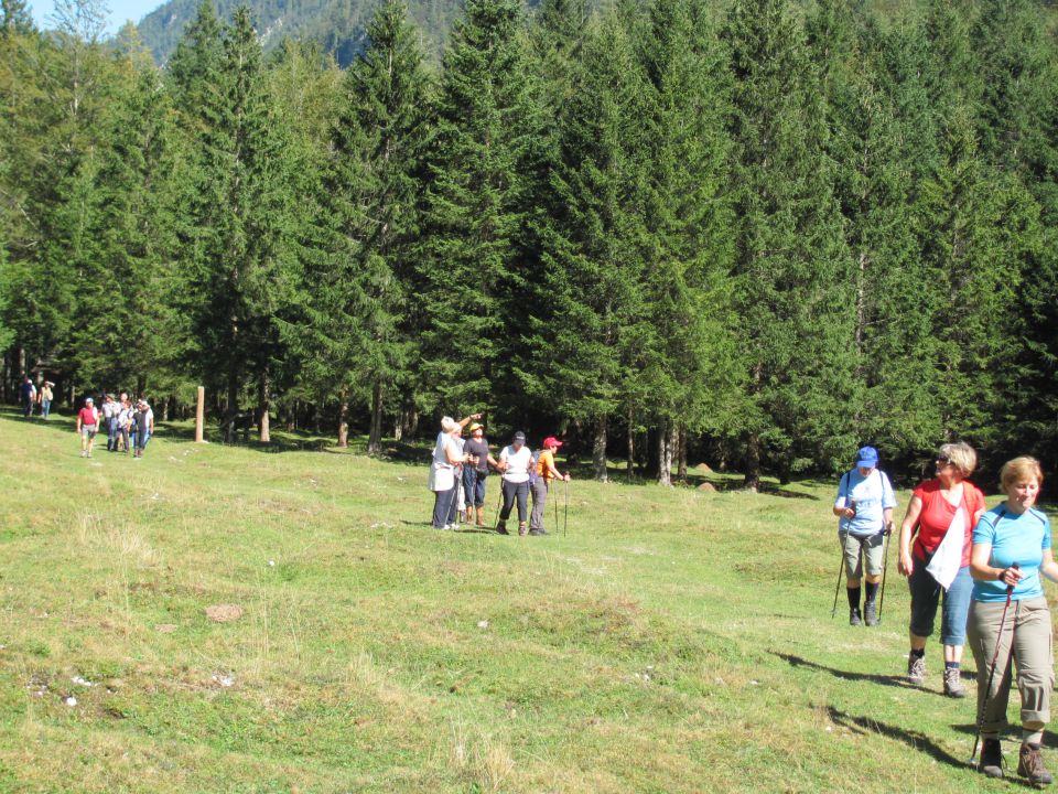 20110910 Mojstrana pod galerijami Vrata - foto povečava