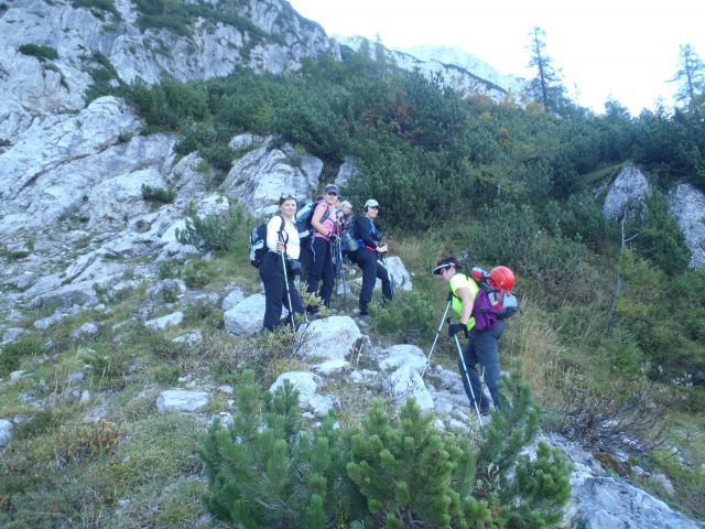 20111002 Ponca-visoka in srednja - foto