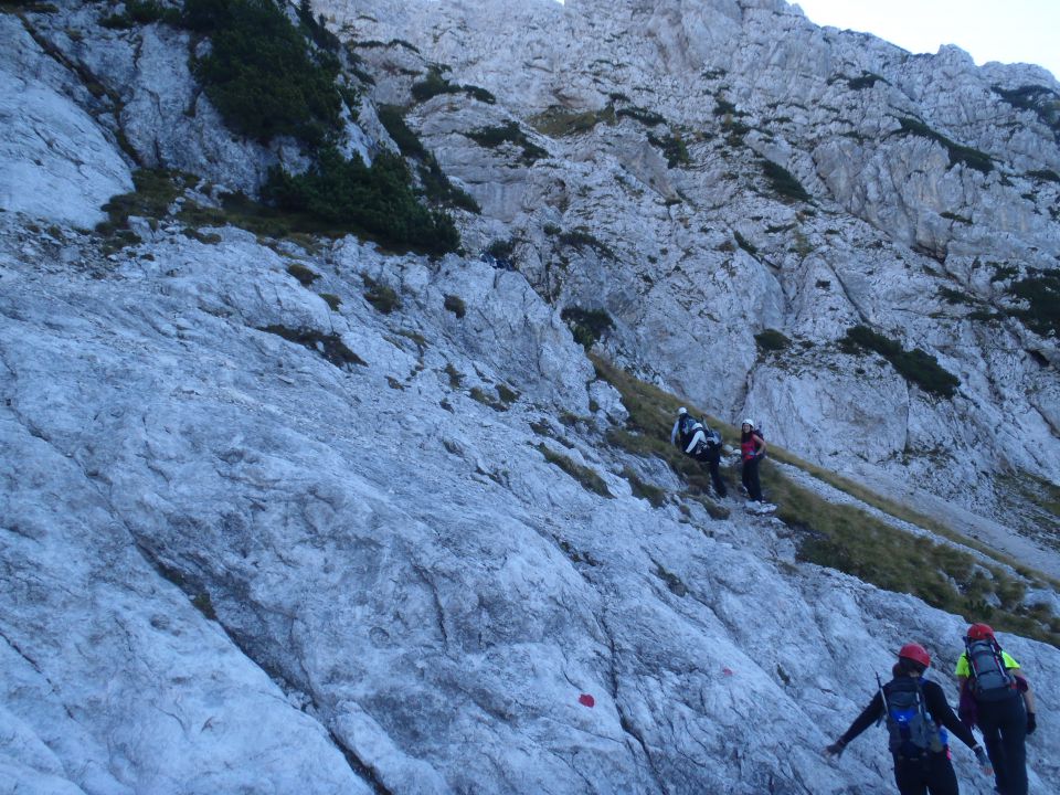 20111002 Ponca-visoka in srednja - foto povečava