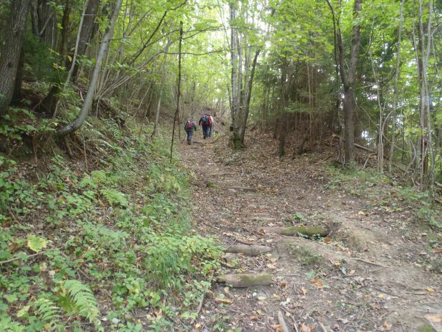 20111016 Kriška gora in Dobrča - foto