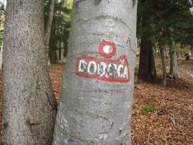 20111016 Kriška gora in Dobrča - foto