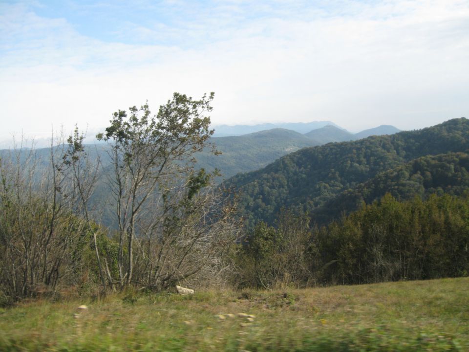 20111023 Po Primorski - foto povečava