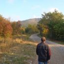 20111028 Kokoš