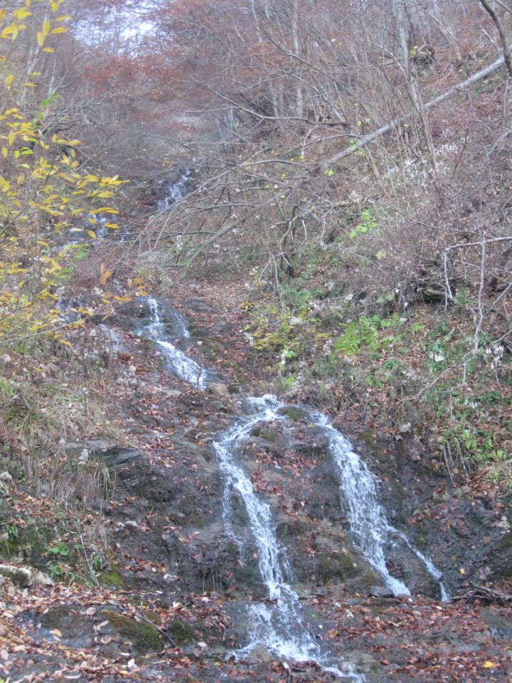 20111113 Porezen-Franja, Lubnik - foto povečava