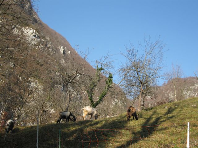 20111113 Porezen-Franja, Lubnik - foto