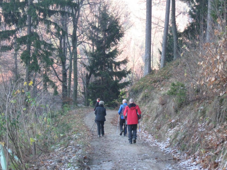 20111113 Porezen-Franja, Lubnik - foto povečava