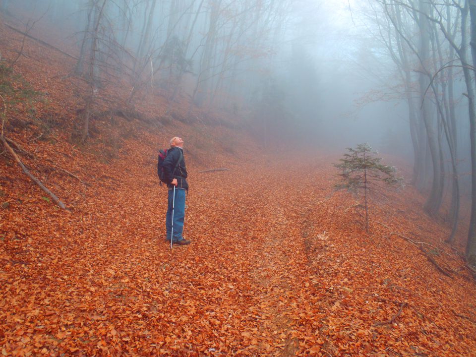 20111120 MB-Areh, skok iz prekmurske megle - foto povečava