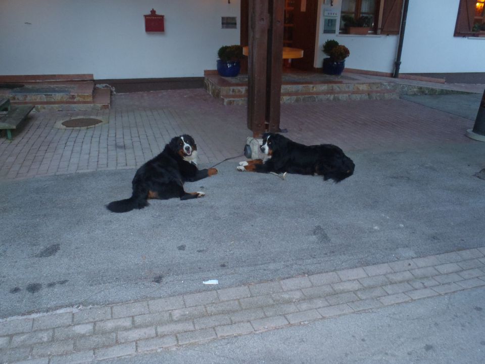 20111127 Klem.Škrb.brezpotje Krofička,Strelo - foto povečava