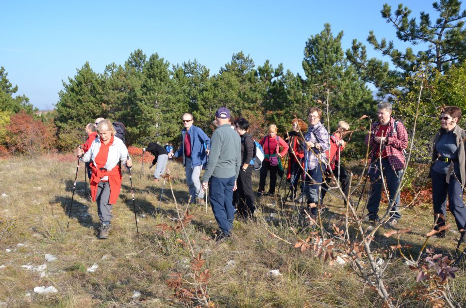 20111119 Po Primorski - foto povečava