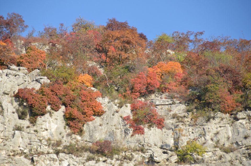 20111119 Po Primorski - foto povečava