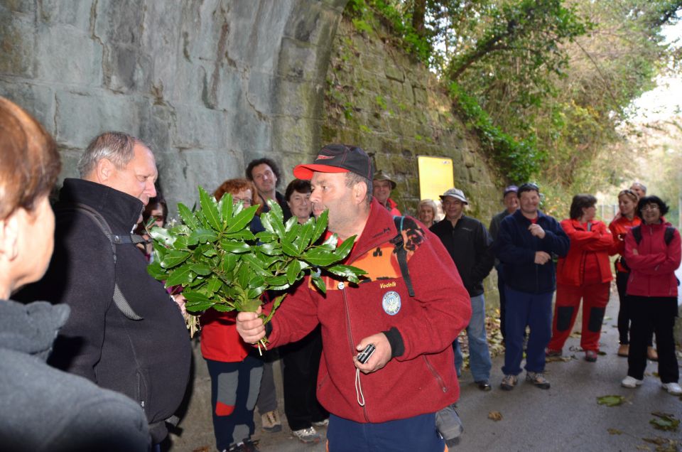 20111119 Po Primorski - foto povečava