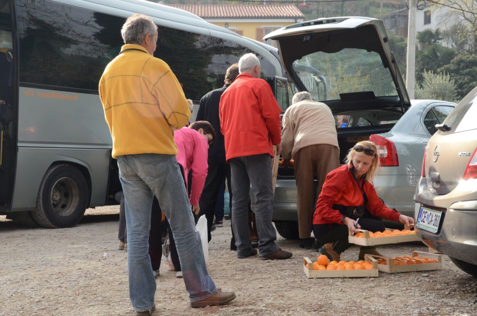 20111119 Po Primorski - foto povečava