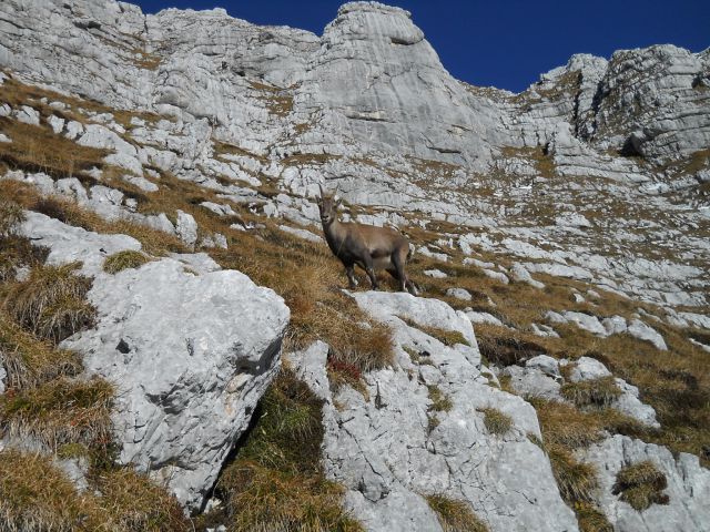 20111125 Špik Hude police-Cima del terrarosa - foto