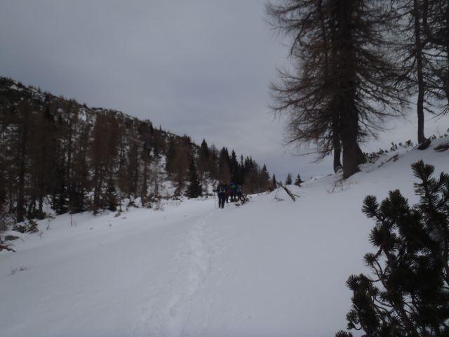 20111231 Debela peč,blejska,-silvestrovo - foto